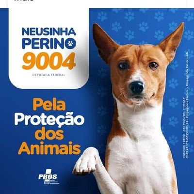 Lençóis paulista13/06/1973. Nasce Neusa Perino . solteira amiga da natureza e oficialmente defensora dos animais . hoje em.seu abrigo possui mais de 100 cães .