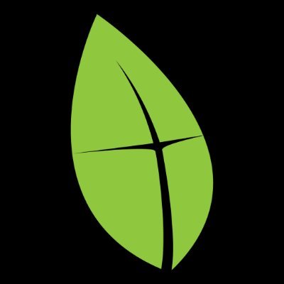GraceLifeBC's profile picture. 