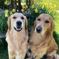 Diane Porter (@dianeporter5) 's Twitter Profile Photo Diane Porter (@dianeporter5) 's Twitter Profile Photo