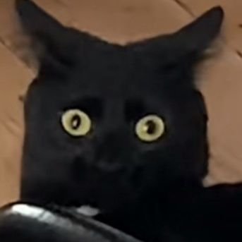 ErrorCode404829's profile picture. 