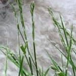 CristianDstar's profile picture. God first❤️🙏 
IG: iamcristianjr