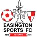 Easington Sports FC (@Sports_ESFC) Twitter profile photo