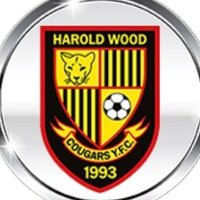 Harold Wood Cougars YFC (@hwc_fc) 's Twitter Profile