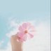 الــزَّهْـرَاء🫧 (@peace8mercy) Twitter profile photo الــزَّهْـرَاء🫧 (@peace8mercy) Twitter profile photo