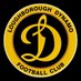 Loughborough Dynamo FC (@lborodynamofc) Twitter profile photo