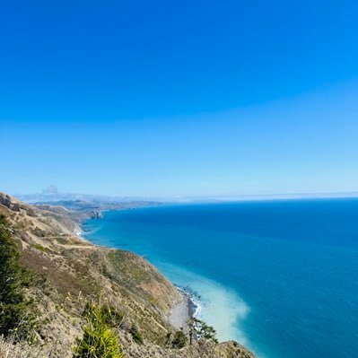 AnzeelaBhattara's profile picture. 