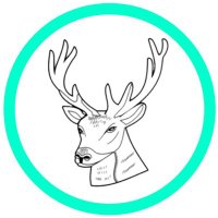 Clavering Primary School (@claveringts27) 's Twitter Profile