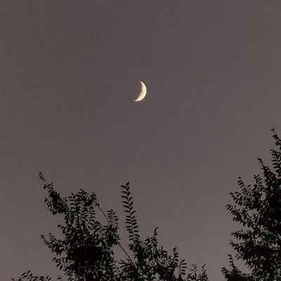 bagvanasif13's profile picture. 