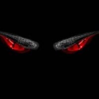 RaisarShadow (@thedragonsden9) 's Twitter Profile