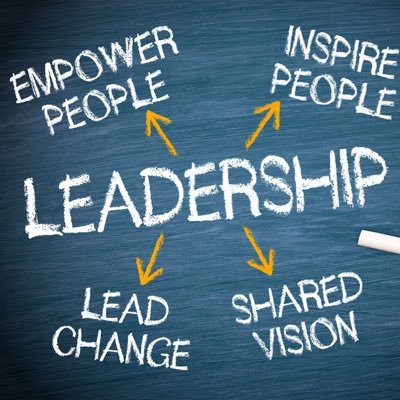 Leading Empowering Organisations (LEO). A leadership course written by healthcare professionals for healthcare professionals. #fundamentalsofnursing #leadership