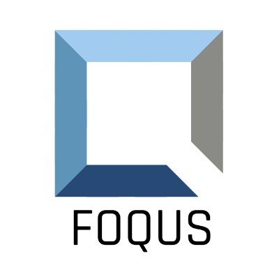 Foqus Technologies Inc Profile