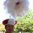 parkmb08's profile image