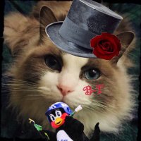 緋依 (@burst_romance) Twitter profile photo