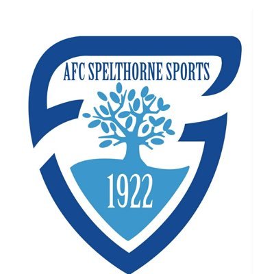 AFC Spelthorne