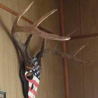 Dan Denman (@99denman_jhook) 's Twitter Profile