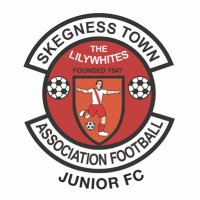 @skegnesstownjfc (@skegnesstownjfc) 's Twitter Profile Photo