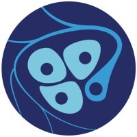 UConn Physiology & Neurobiology (@pnbuconn) 's Twitter Profile