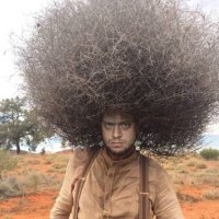 ShittyPickle420 (@shittypickle420) 's Twitter Profile