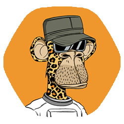 bnmuse88's profile picture. 