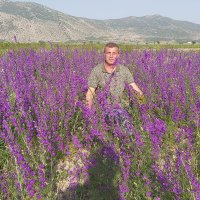 ADEM (@2lem1) 's Twitter Profile Photo ADEM (@2lem1) 's Twitter Profile Photo