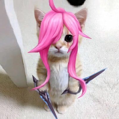 KatEvolved Profile