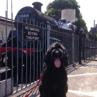 Big black Dog that loves Steam Locomotives and Caravanning.Created #dogsontheplatform promote Dog friendly days out on Heritage railways. Supports #finnslaw