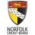 Norfolk Cricket (@NorfolkCB) Twitter profile photo