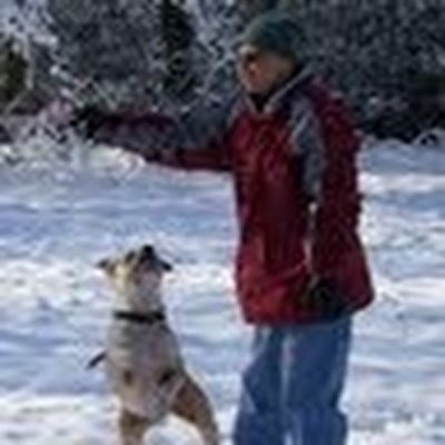 LisaYanity's profile picture. 