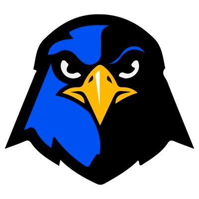 HawksDcs Profile Picture