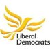 Elmbridge Lib Dems 🔶 (@ElmbridgeLibDem) Twitter profile photo