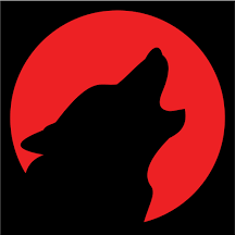 WolfofIntel Profile Picture