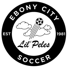 Providing a safe, nurturing & educational environment for inner-city kids to learn life skills through soccer since 1981
