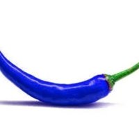 NM Chile Azul (@ricomar49911370) 's Twitter Profile