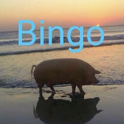 BestClasherEUW's profile picture. 