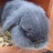 ArlBeech's profile image