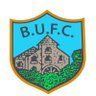 bhinchutd's profile picture. Official X account of Ballynahinch United FC - Est. 1968 - 1sts: NAFL 1C. 2nds: NADAFL Div 1. 3rds: NADAFL Div 2. Home ground: The Millbridge. All welcome.