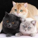 Eva Casey - @EvaCase58791880 - Twitter