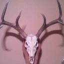 Greg Lovett - @caution_is_out - Twitter