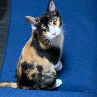 うにちゃん＊ (@mai44108_tail) Twitter profile photo