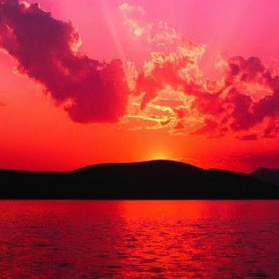 xmknightx's profile picture. 