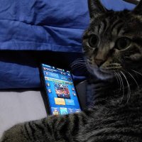 HeroBacon (@dracguar23) 's Twitter Profile