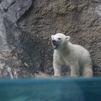 rtpc777's profile picture. 