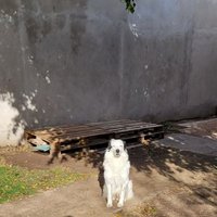 Facundo (@faqpera) 's Twitter Profile
