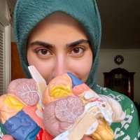 Hiba Elaasar, MD (@hibae127) 's Twitter Profile