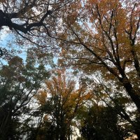 あさひ (@pane_hiro) 's Twitter Profile