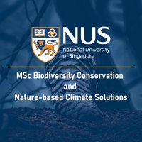 NUS MBCNCS (@mbcncs) 's Twitter Profile