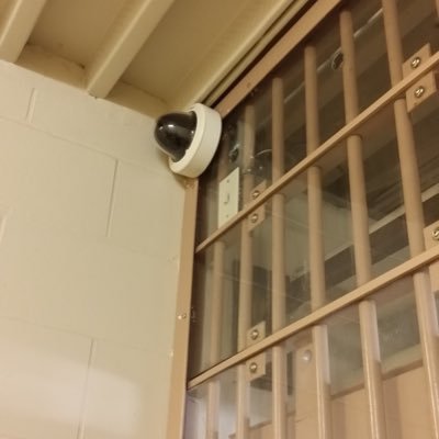 epsteinsrevenge's profile picture. 