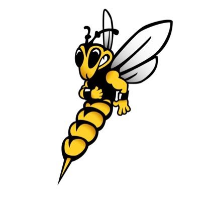 Official Twitter for University of Wisconsin-Superior Club Hockey 🐝 | @achamensd2 affiliated | Re-established in 2022