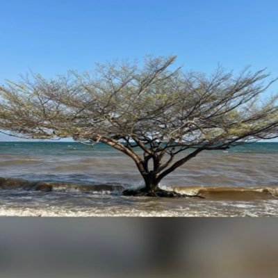 AkpanEkpene's profile picture. Oil Trading