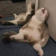 yiii_imyour's profile picture. 